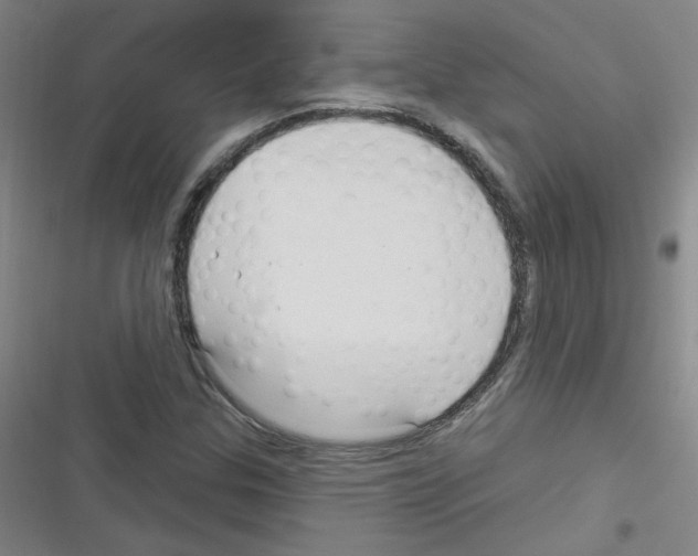 X0000116341307201001131037