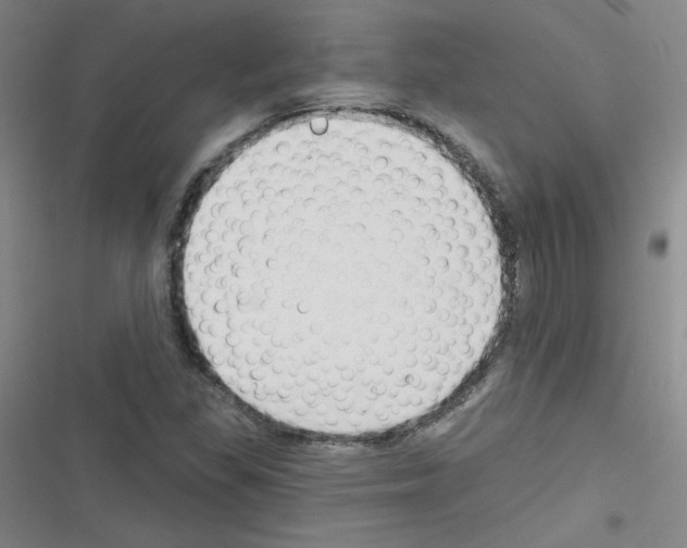 X0000116341309201001131037