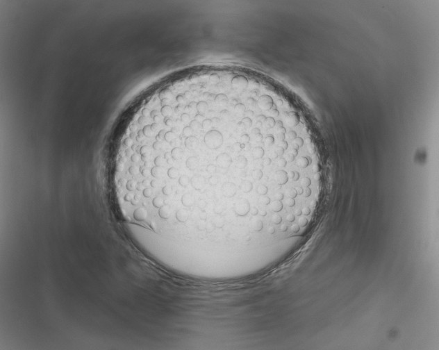 X0000116341311201001131037