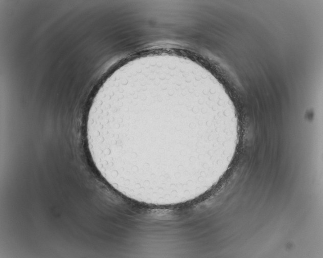 X0000116341313201001131037