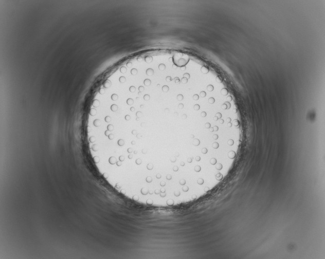 X0000116341315201001131037