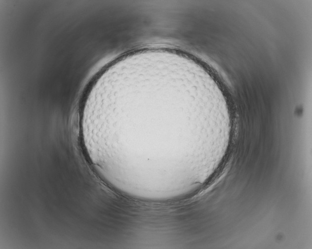 X0000116341317201001131037