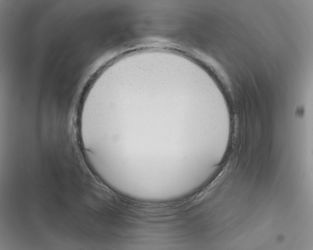 X0000116341318201001131037