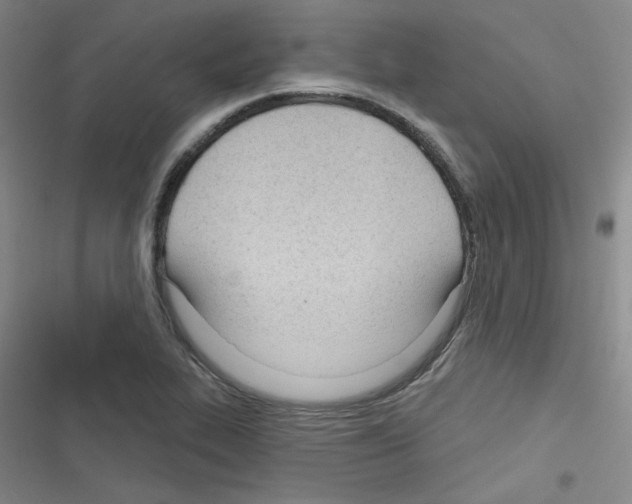 X0000116341319201001131037