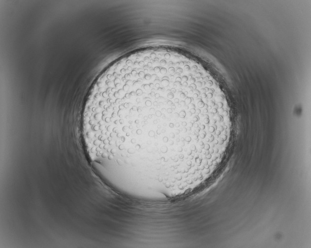 X0000116341321201001131037