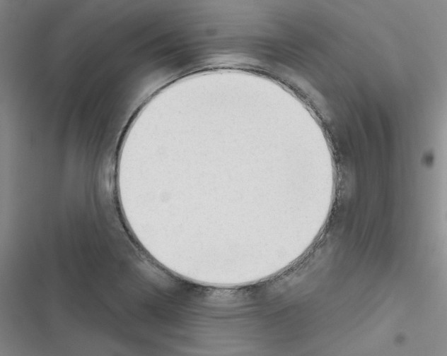 X0000116341322201001131037