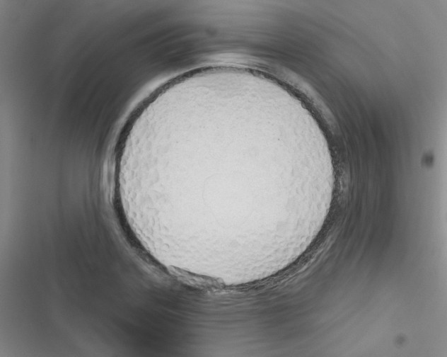 X0000116341323201001131037