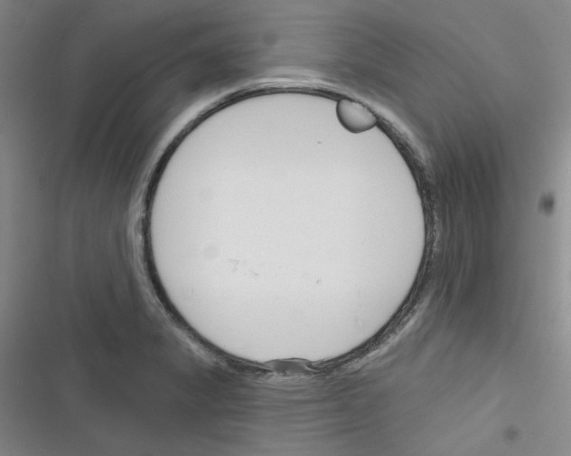 X0000116341325201001131037