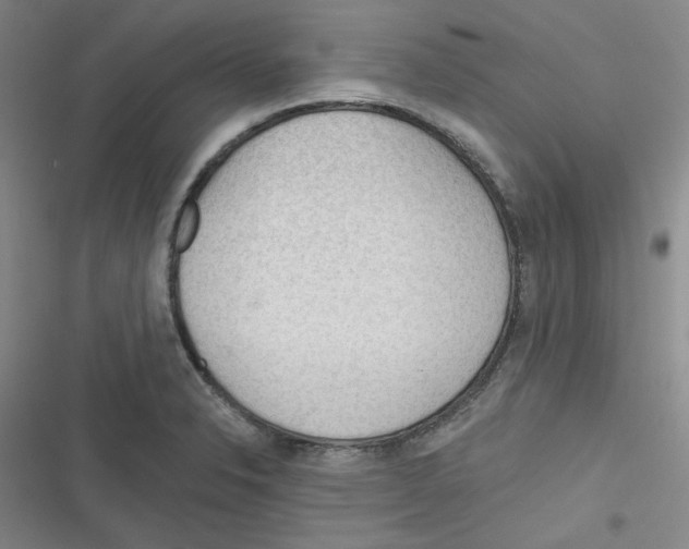 X0000116341326201001131037