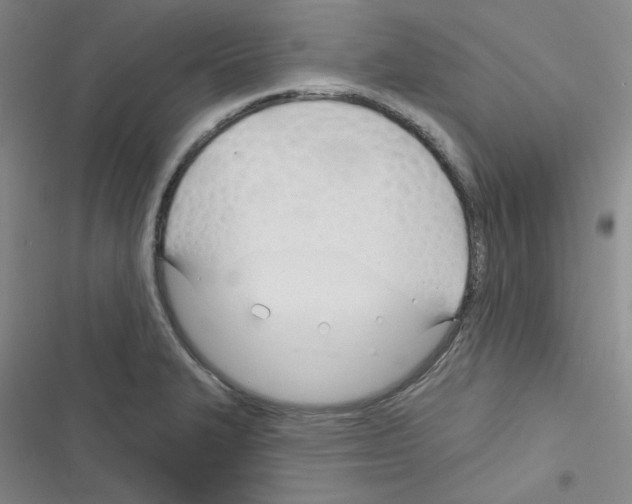 X0000116341327201001131037