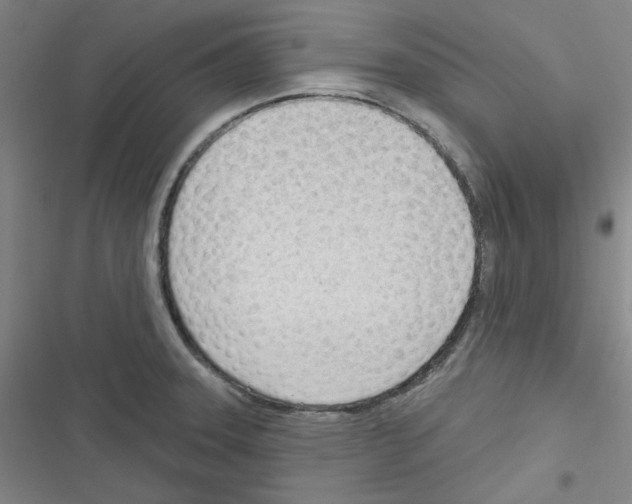 X0000116341331201001131037