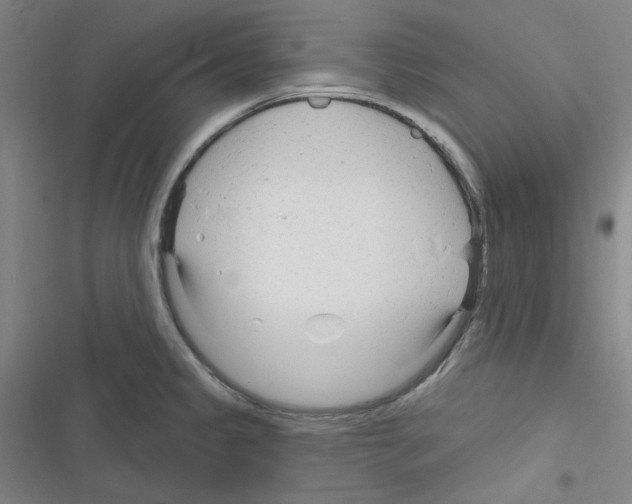 X0000116341333201001131037