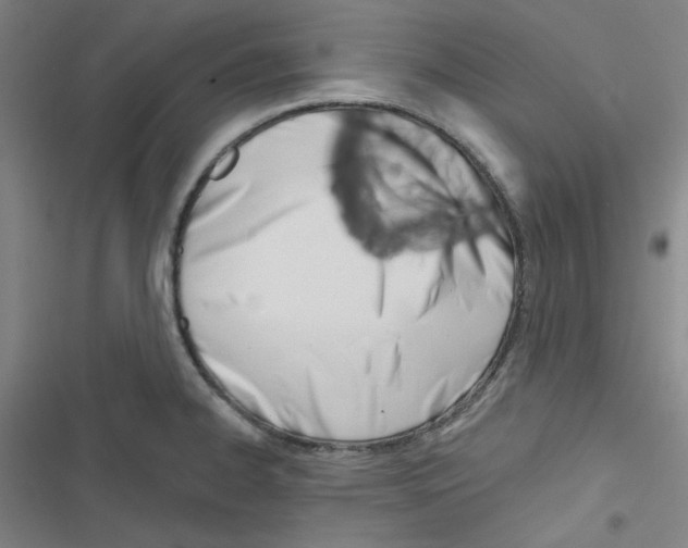 X0000116341334201001131037