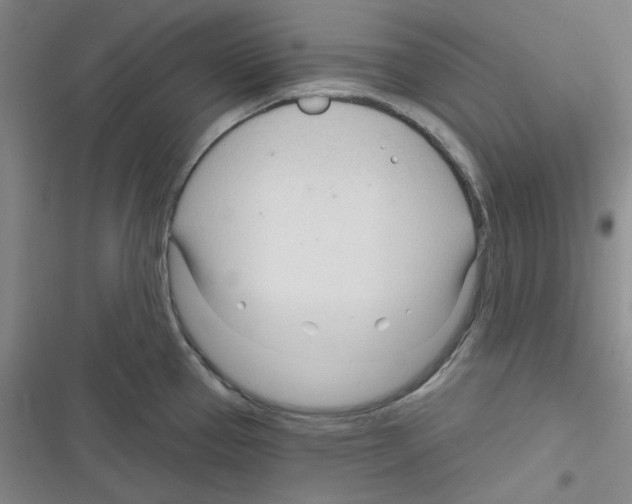 X0000116341337201001131037