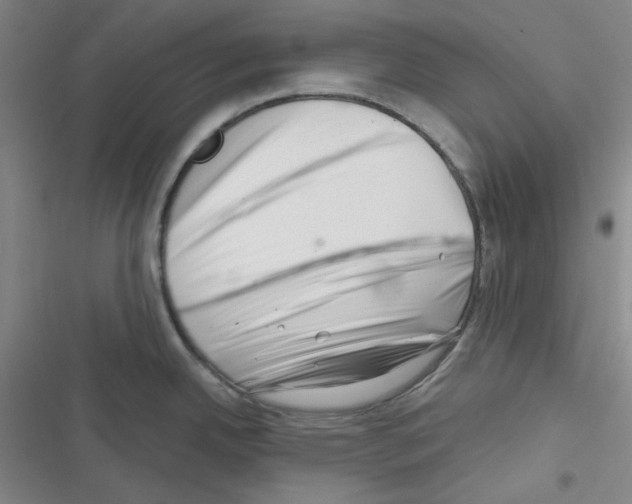 X0000116341342201001131037