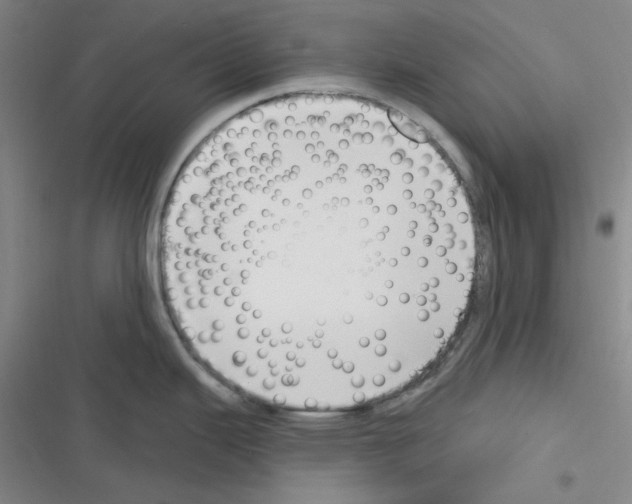 X0000116341343201001131037