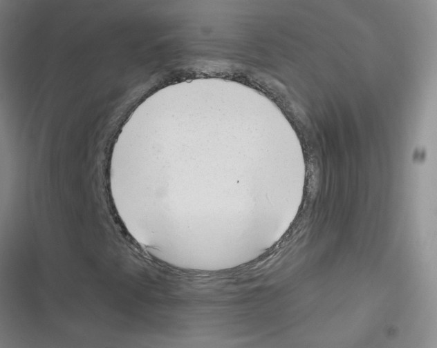 X0000116341345201001131037