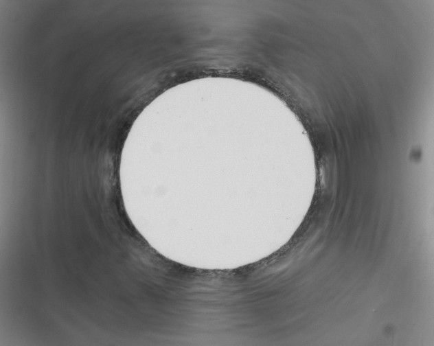 X0000116341347201001131037