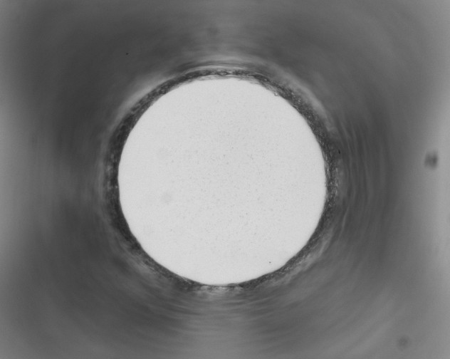 X0000116341352201001131036