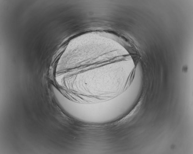 X0000116341353201001131036