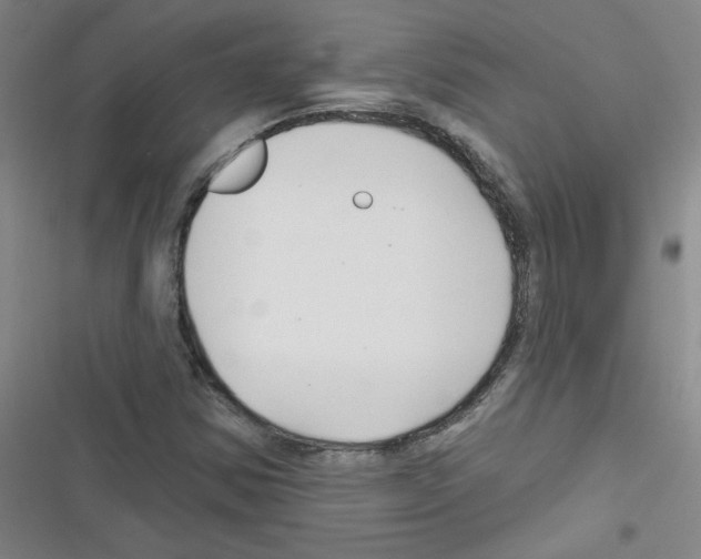 X0000116341354201001131036