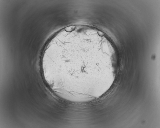 X0000116341356201001131036