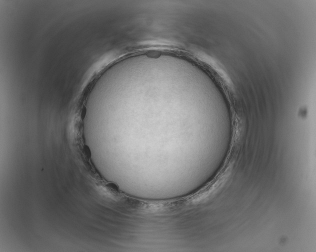 X0000116341357201001131036