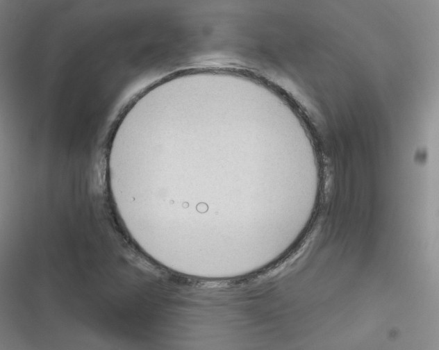 X0000116341358201001131036