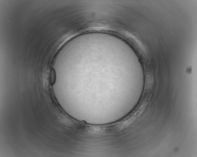 X0000116341361201001131036