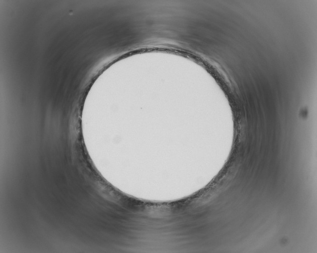 X0000116341363201001131036