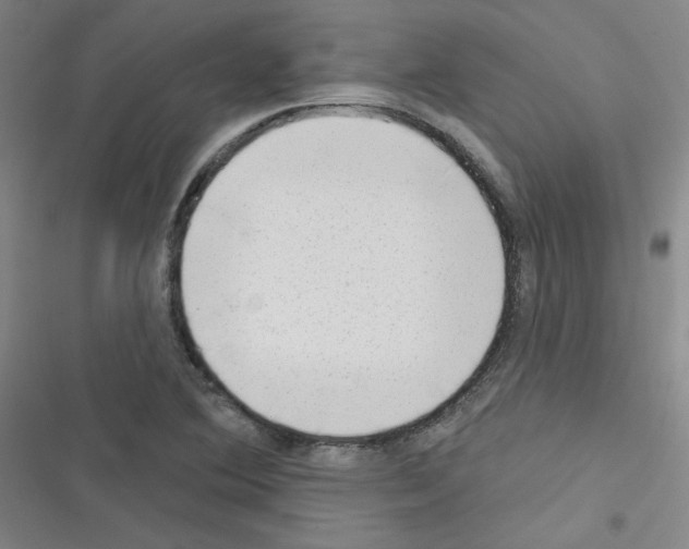 X0000116341364201001131036