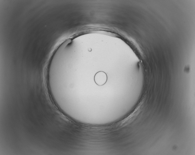 X0000116341365201001131036