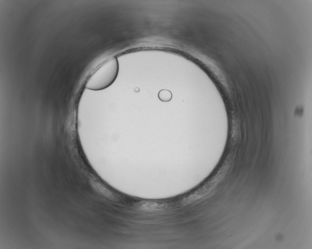 X0000116341366201001131036