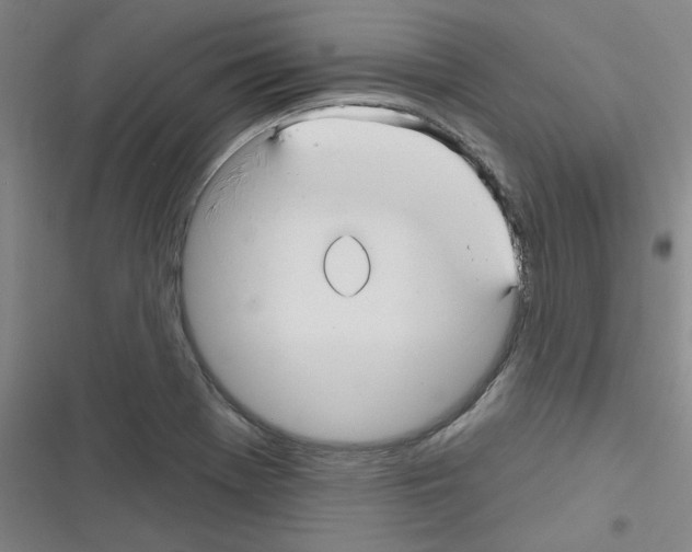 X0000116341369201001131036