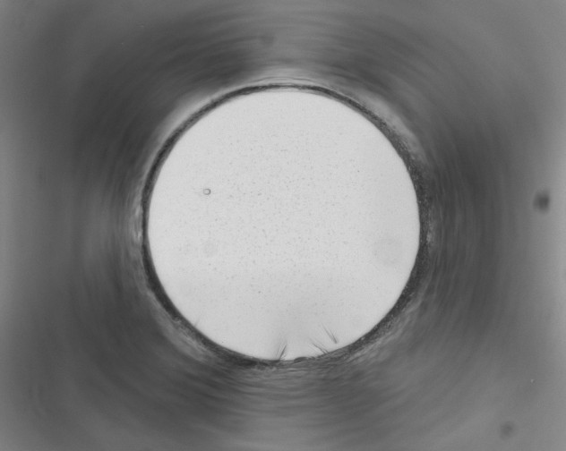 X0000116341372201001131036