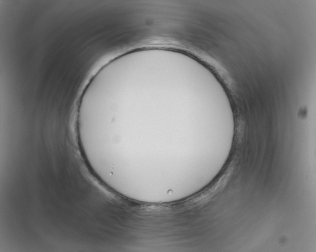 X0000116341374201001131036