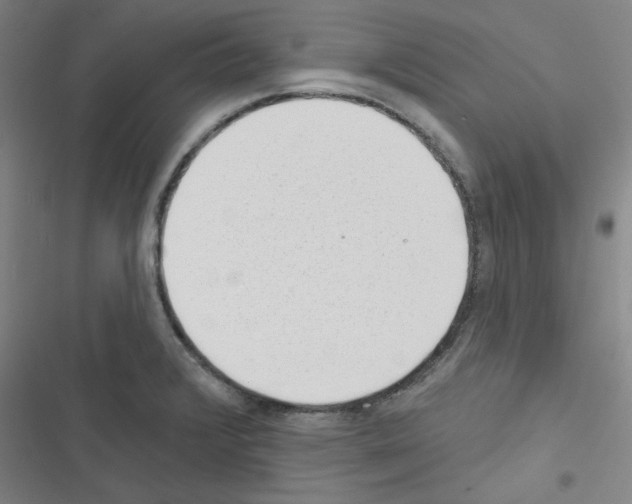 X0000116341376201001131036