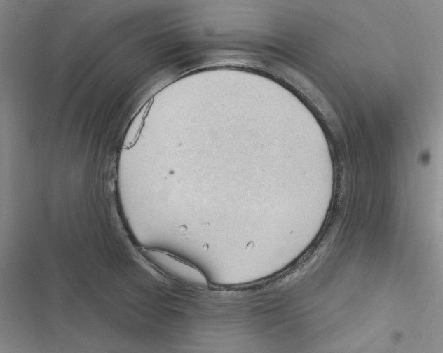 X0000116341377201001131036