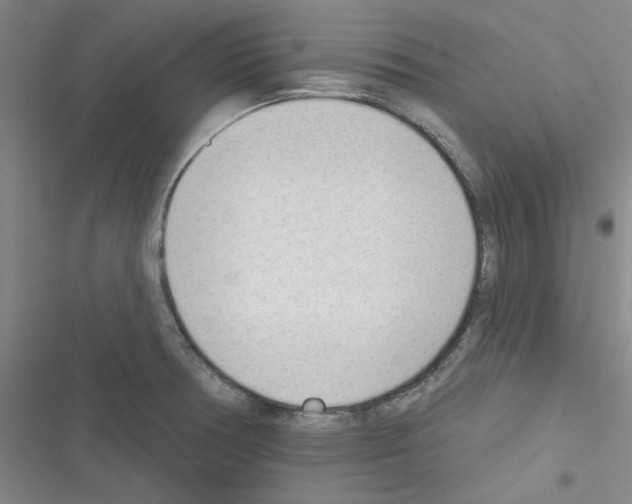 X0000116341378201001131036