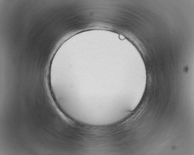 X0000116341379201001131036