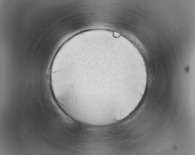 X0000116341380201001131036