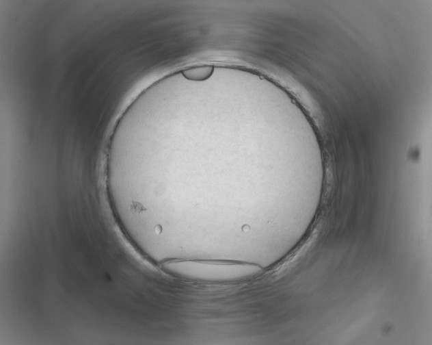 X0000116341382201001131036