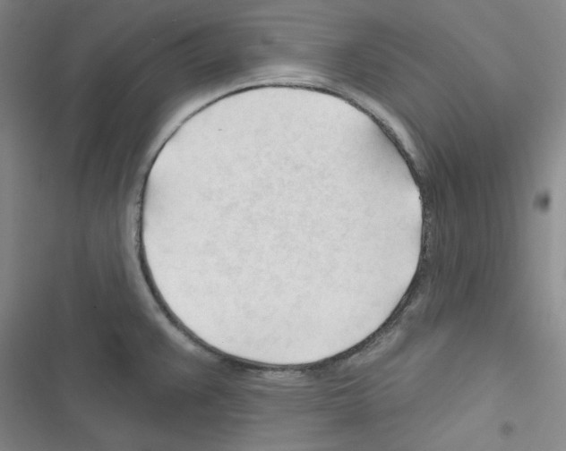 X0000116341383201001131036