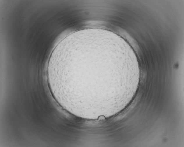 X0000116341386201001131036