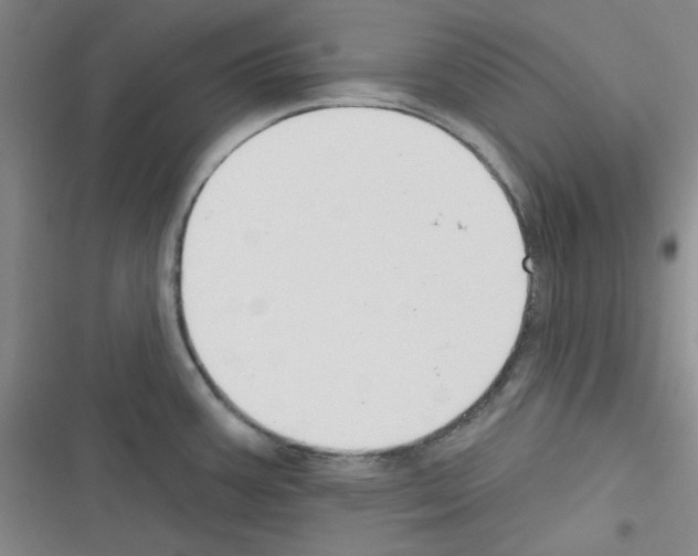 X0000116341387201001131036