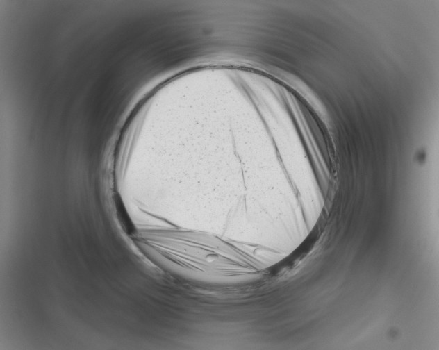 X0000116341388201001131036