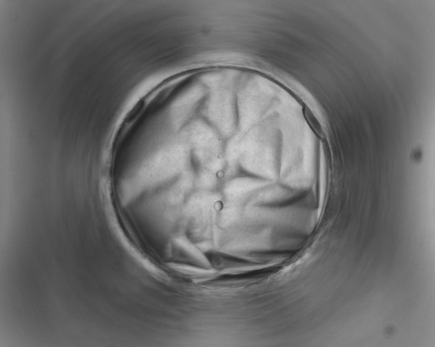 X0000116341389201001131036