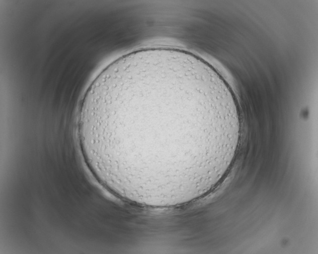 X0000116341390201001131036