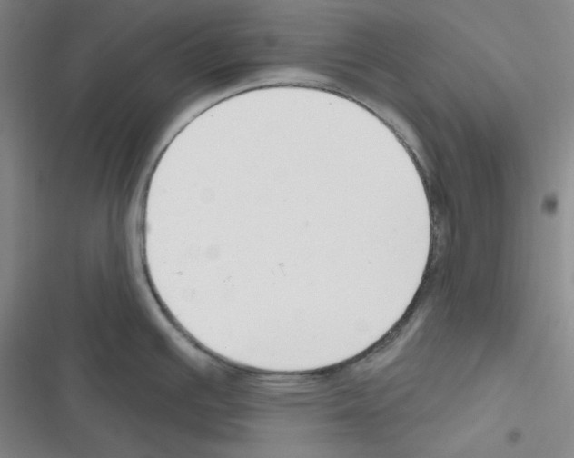 X0000116341391201001131036