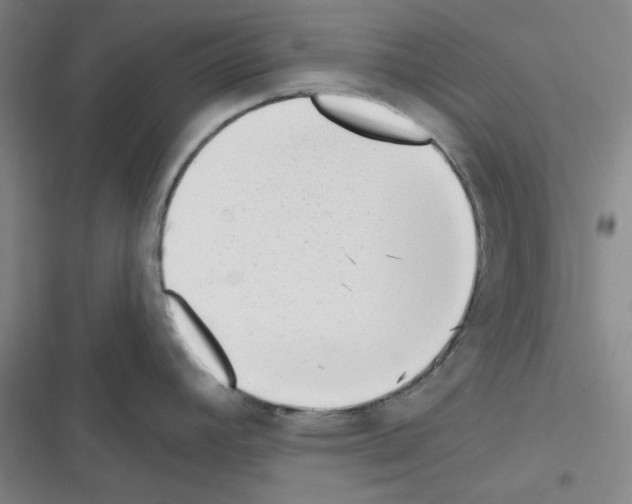 X0000116341392201001131036